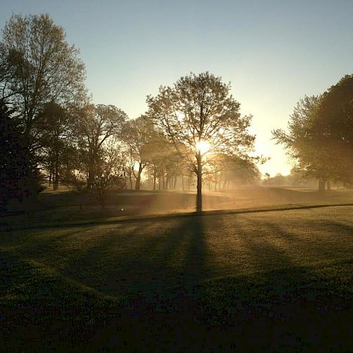 A serene sunrise or sunset over a grassy field with trees, casting long shadows, surrounded by morning mist.